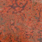 Stony Creek Orbicular Jasper