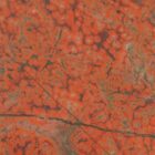 Stony Creek Orbicular Jasper