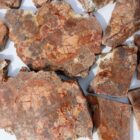 Cold Mountain Jasper
