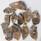 Stony Creek Jasper