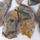 Stony Creek Jasper
