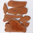 Stony Creek Orbicular Jasper