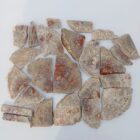 Coprolite