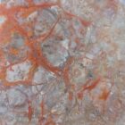 Coprolite