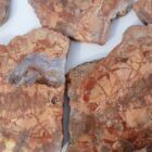 Cold Mountain Jasper