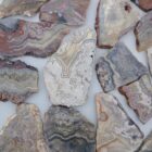 Mexican Crazy Lace Agate
