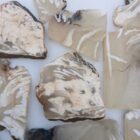 Ochoco Tube Agate