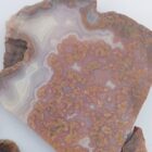 Laguna Lace Agate