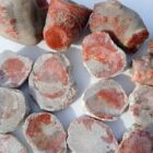 Red Horn Coral