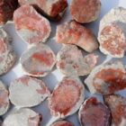 Red Horn Coral