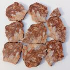 Petrified Wood