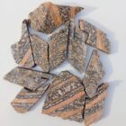 Leopard Skin Jasper
