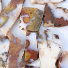 Polka Dot Agate