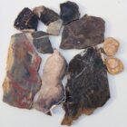 Petrified Wood