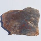 Mexican Moss Agate