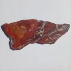 Dominite Jasper