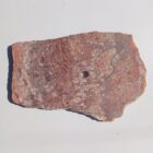 Nevada Brecciated Hickoryite