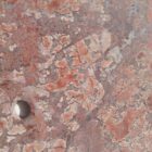 Nevada Brecciated Hickoryite