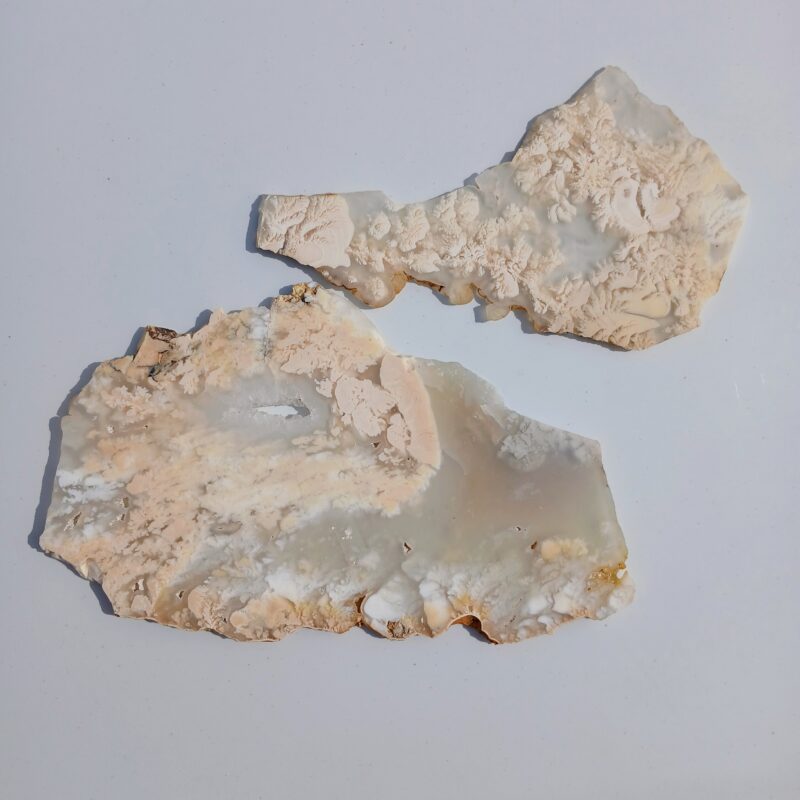Nyedigger Plume Agate Nyedigger Plume Agate