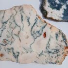 Green Tree Agate