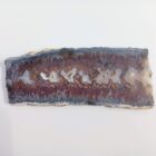 Christmas Tree Plume AKA Picket Plume Agate