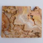 Regency Rose Plume Agate