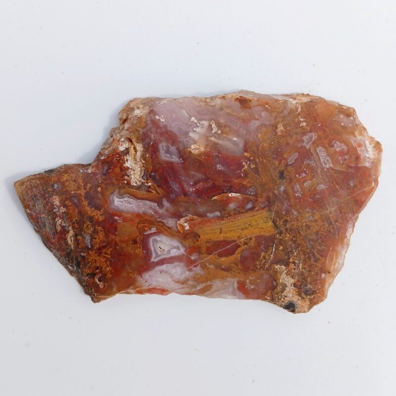 Agua Nueva Agate Agua Nueva Agate