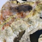 Serpentine with Chalcedony Rough