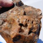 Unknown Moss Agate