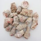 Red Horn Coral Rough