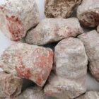 Red Horn Coral Rough