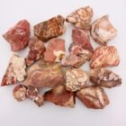 Indian Blanket Jasper Rough