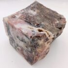 St. John's Flower Agate Rough