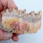 Regency Rose Plume Agate Rough