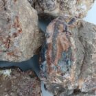 Cold Mountain Jasper Rough