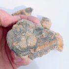 Flowering Tube Onyx Rough