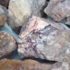 Indian Blanket Jasper Rough