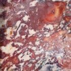 Indian Blanket Jasper Rough
