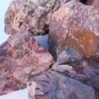 Indian Blanket Jasper Rough