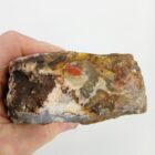 Graveyard Point Agate Rough