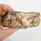 Graveyard Point Agate Rough
