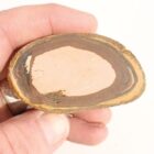 Royal Sahara Jasper Rough