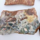Morrisonite Jasper