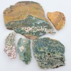 Ocean Jasper