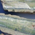 Green Cat's Eye Opalite