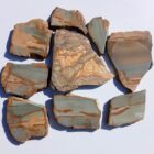 Owyhee Picture Jasper