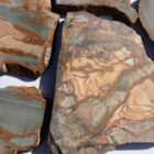Owyhee Picture Jasper