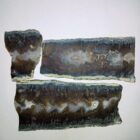 Christmas Tree Plume AKA Picket Plume Agate