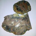 Butterfly Jasper