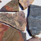 Unknown Jasper